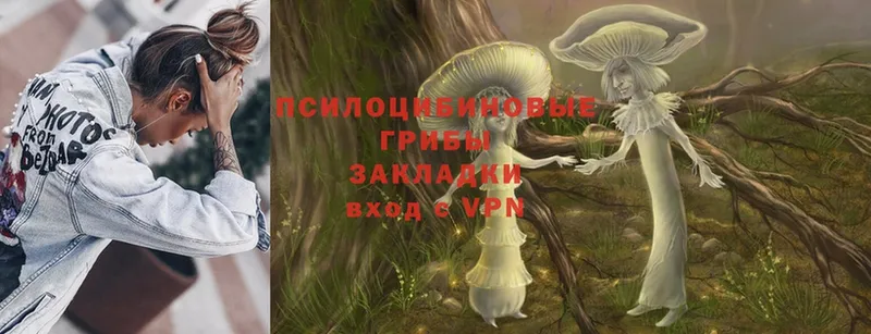 наркотики  Неман  Псилоцибиновые грибы Psilocybe 